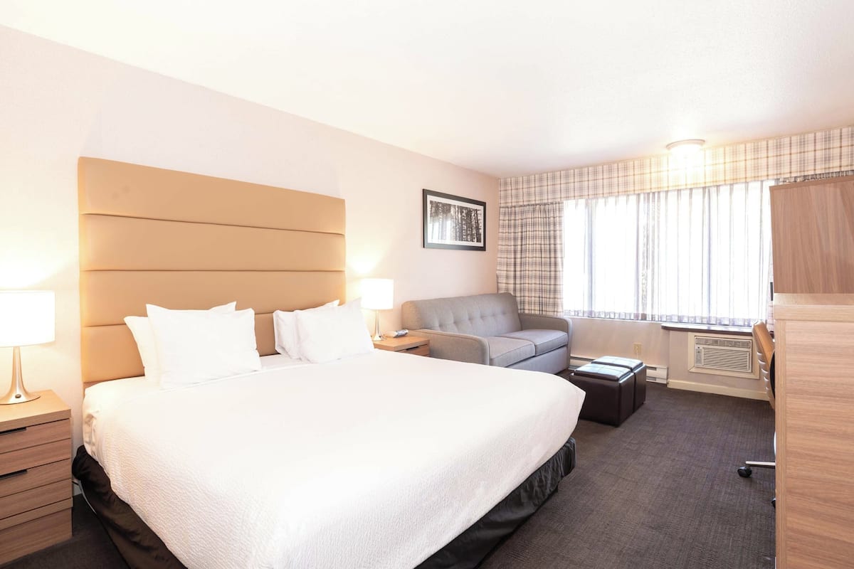 A hotel room with a large bed, a grey sofa, a small table, and a desk.