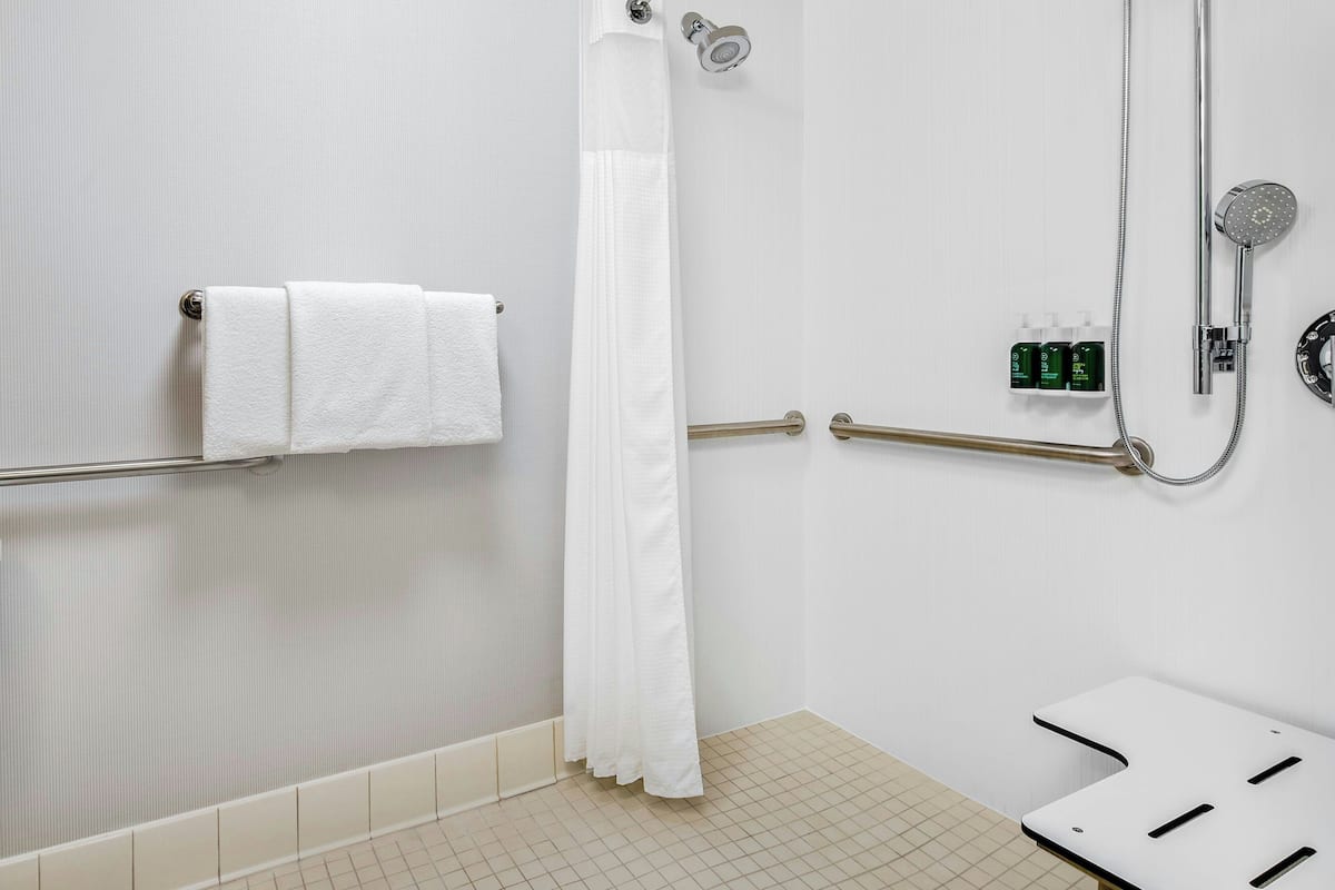 combined shower/bathtub, free toiletries, hair dryer, towels