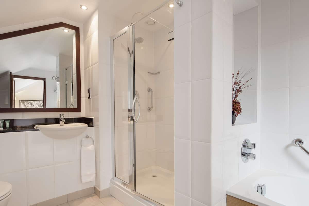 deluxe room, 1 king bed | bathroom | combined shower/bathtub, hair dryer, towels
