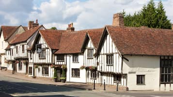 Traditional half-timbered buildings line the historic street.