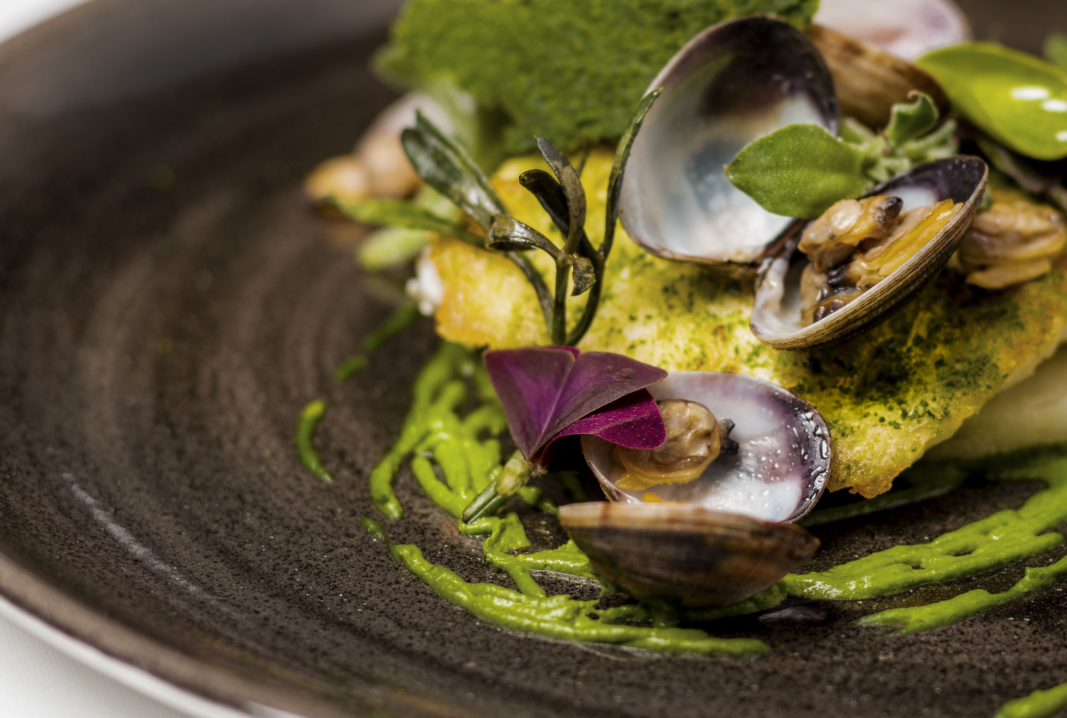 A dish with clams and greens on a dark plate.