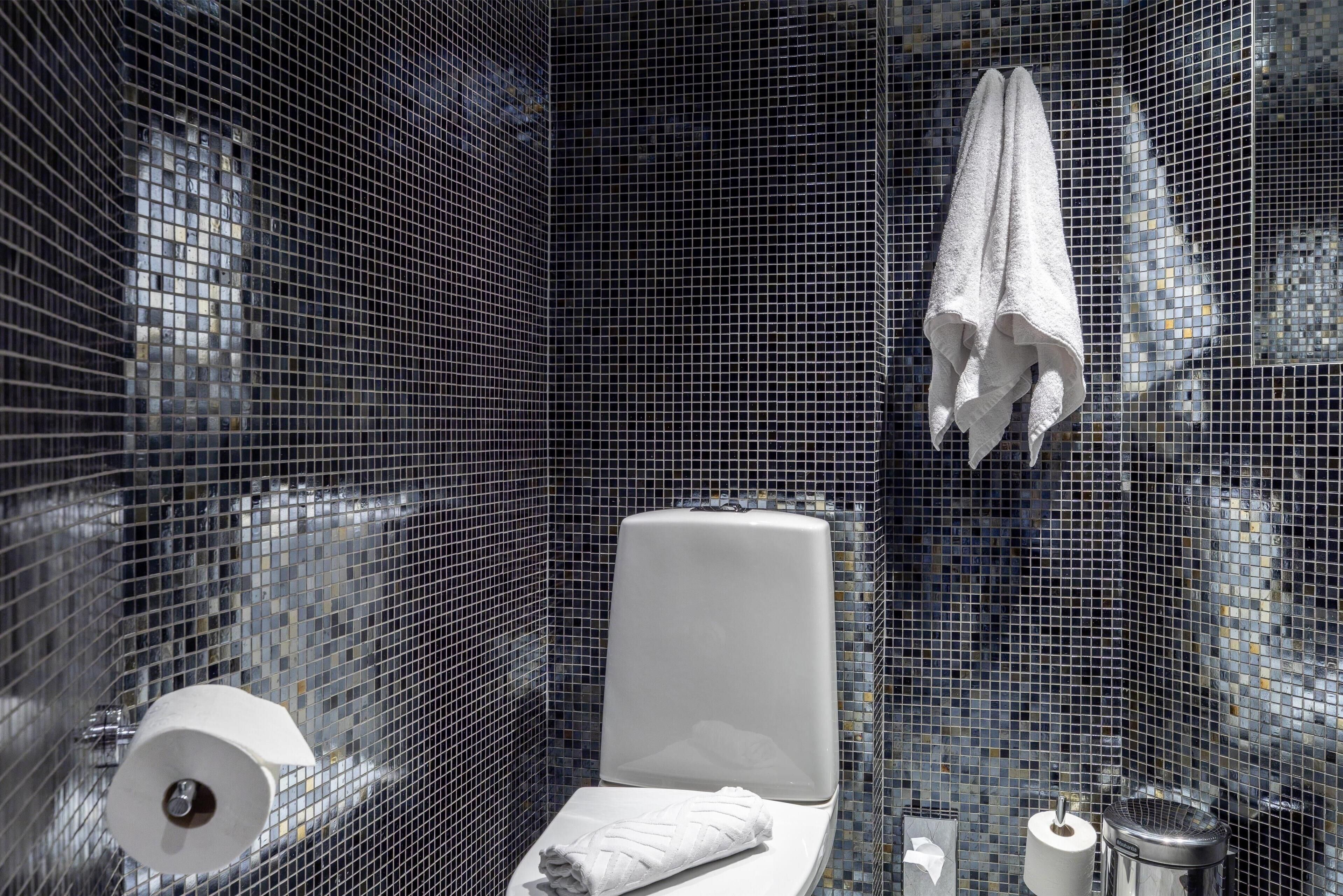 presidential suite | bathroom | combined shower/bathtub, free toiletries, hair dryer, towels