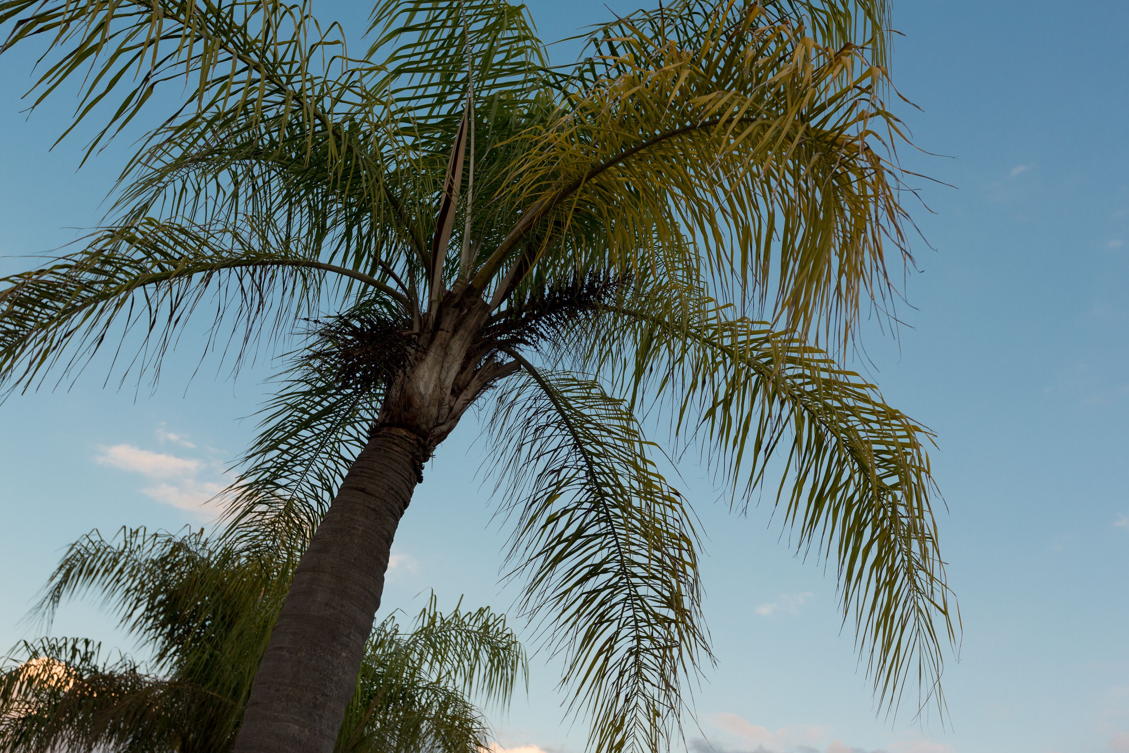 Photo - Maingate Lakeside Resort