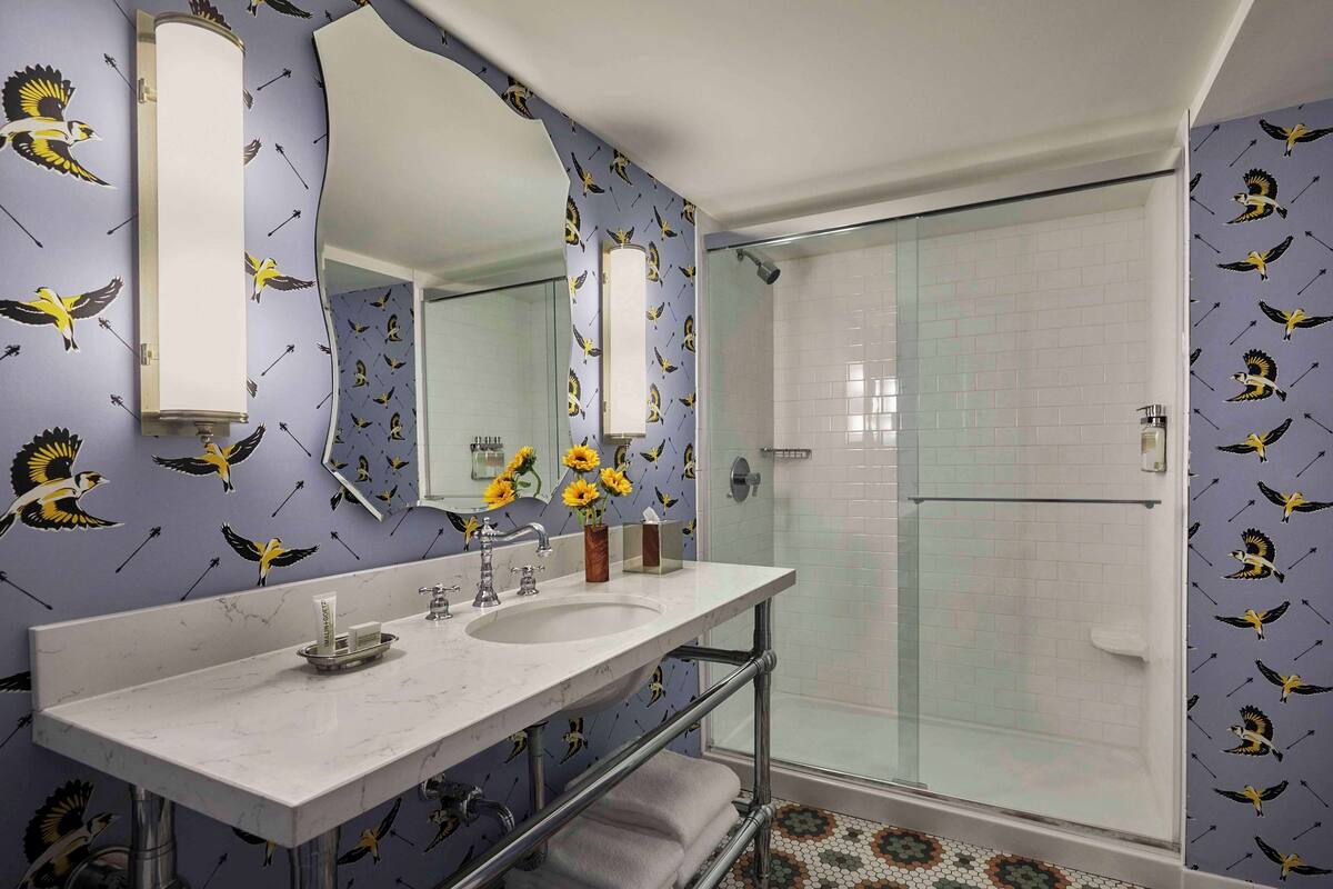 free toiletries, hair dryer, towels