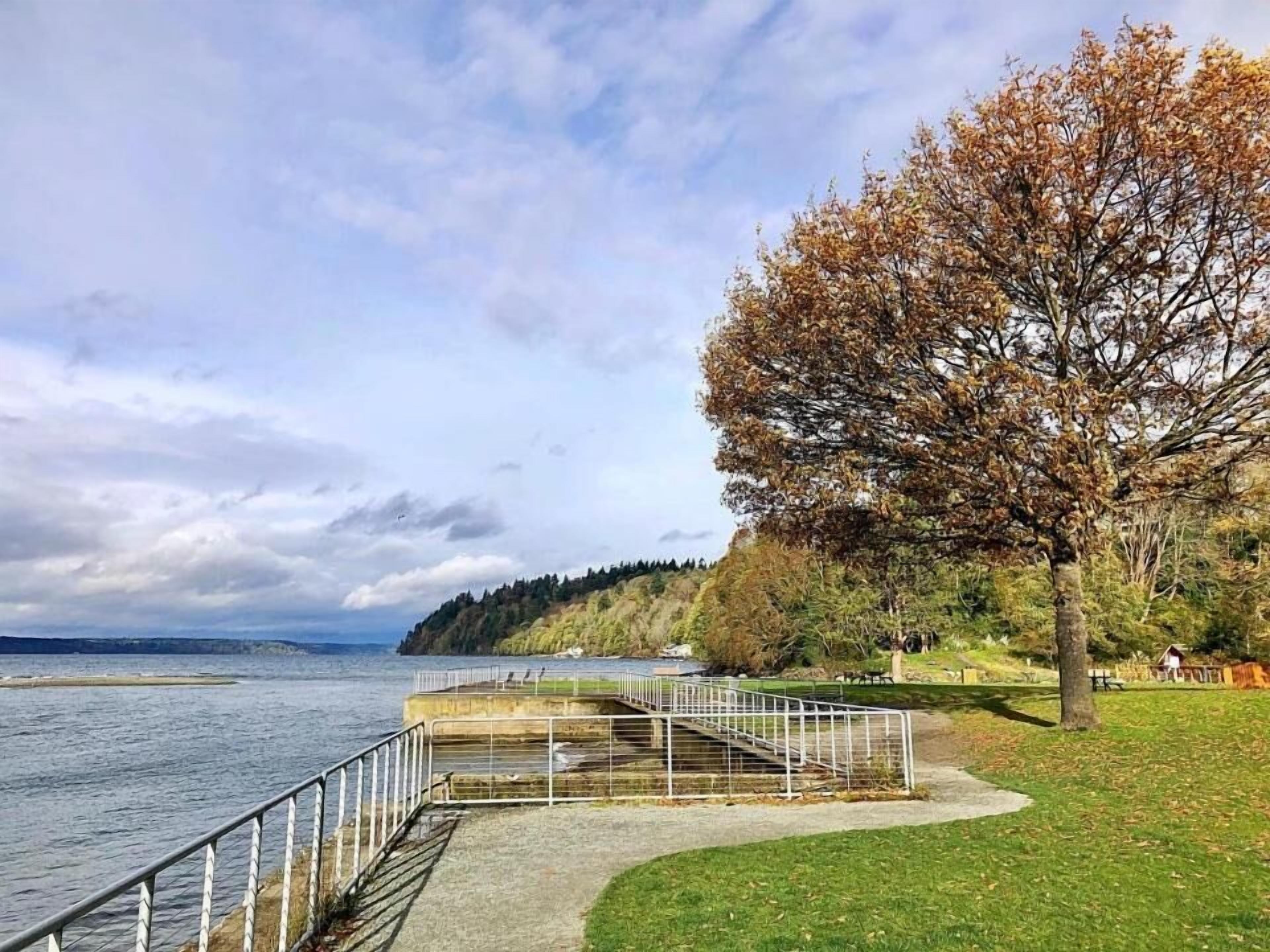 A waterfront park with a paved walkway, a metal railing, and a large tree.