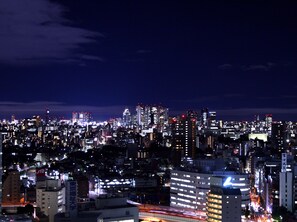 View from room - Sunshine City Prince Hotel (Tokyo)
