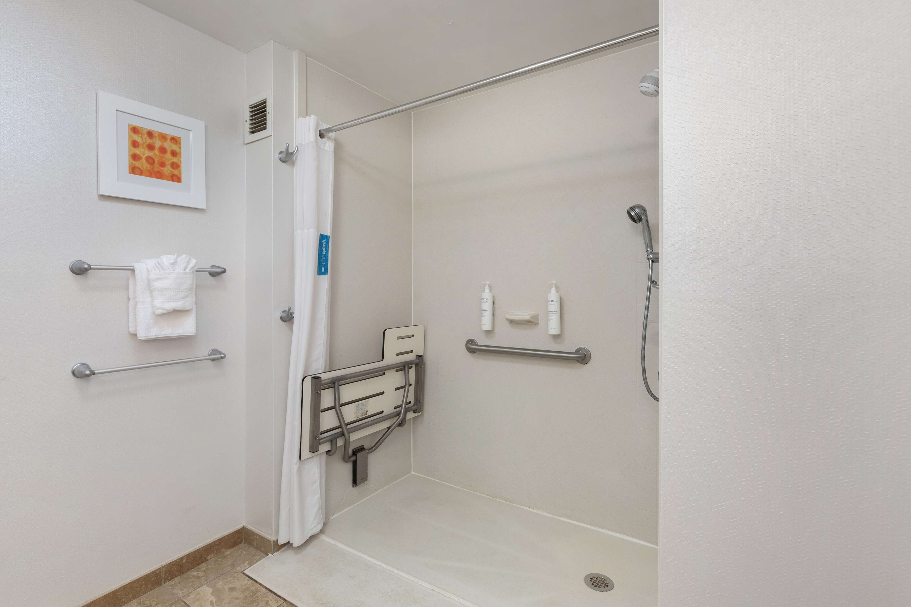 room, accessible, non smoking | bathroom shower