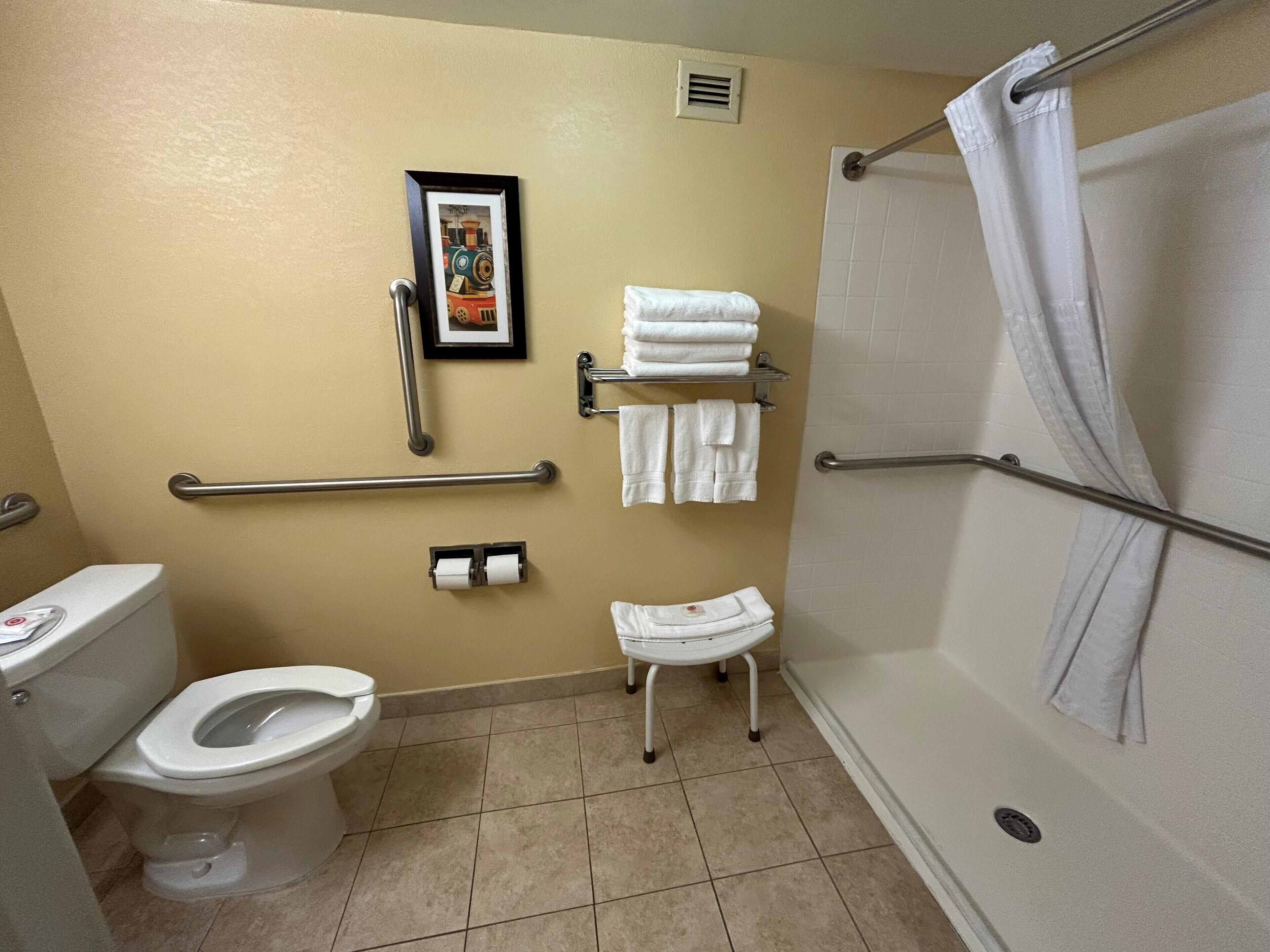 Une salle de bain équipée de toilettes, d’une douche avec rideau, d’une barre d’appui, d’un porte-serviettes et d’un tableau accroché au mur.
