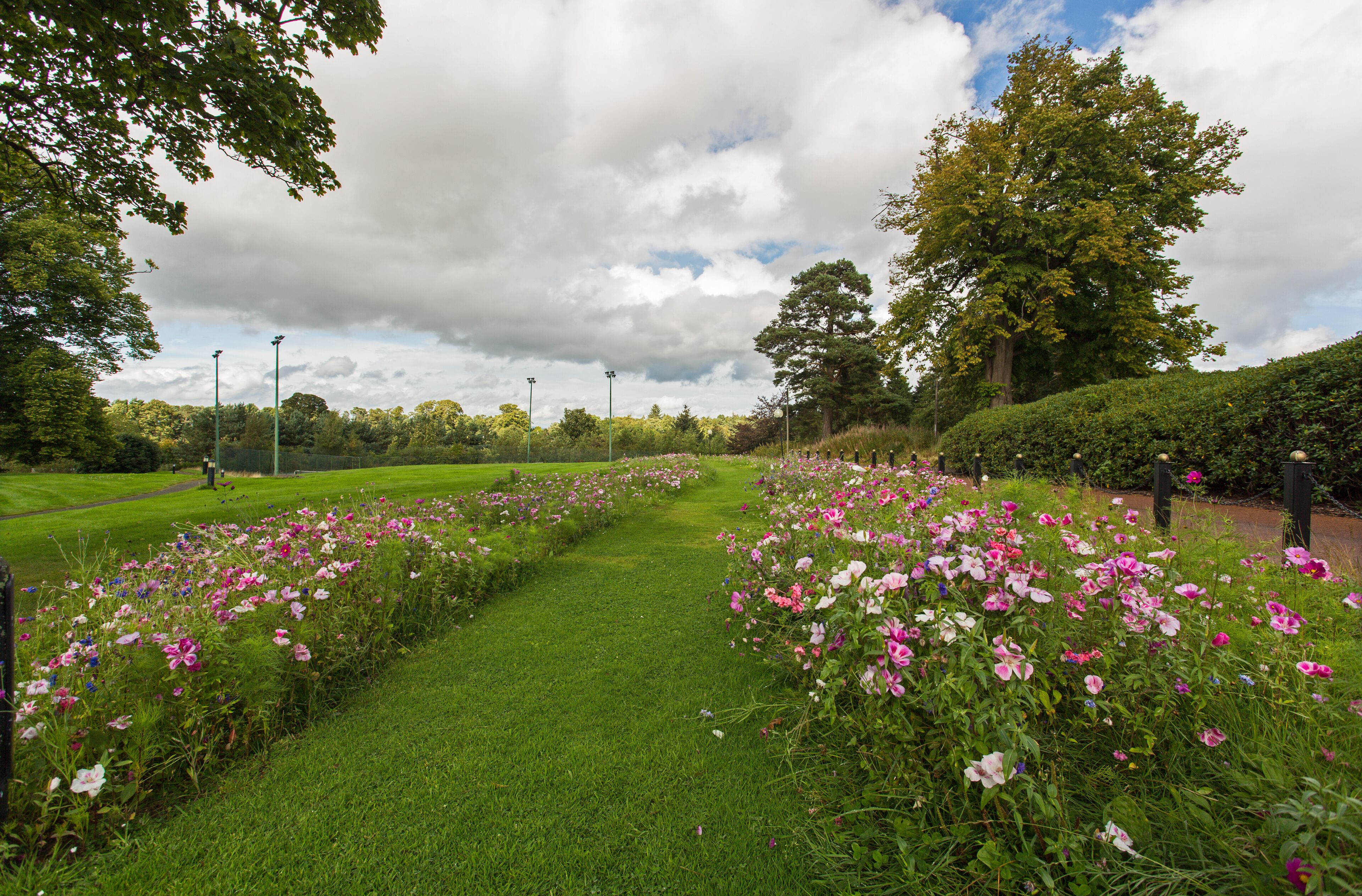 Un sendero en un jardín con diversas flores y árboles.