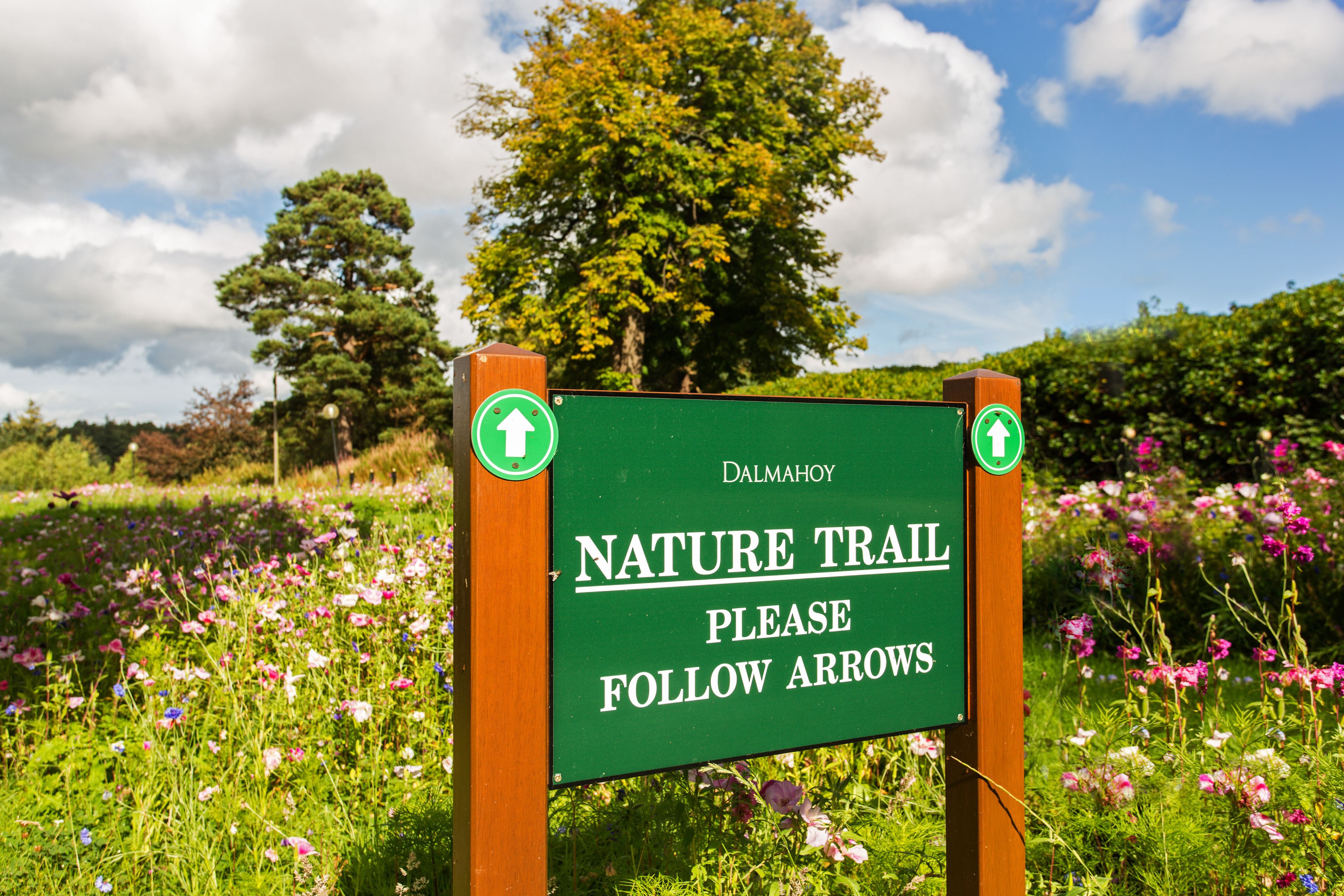 A sign for a nature trail with arrows indicating the direction to follow.