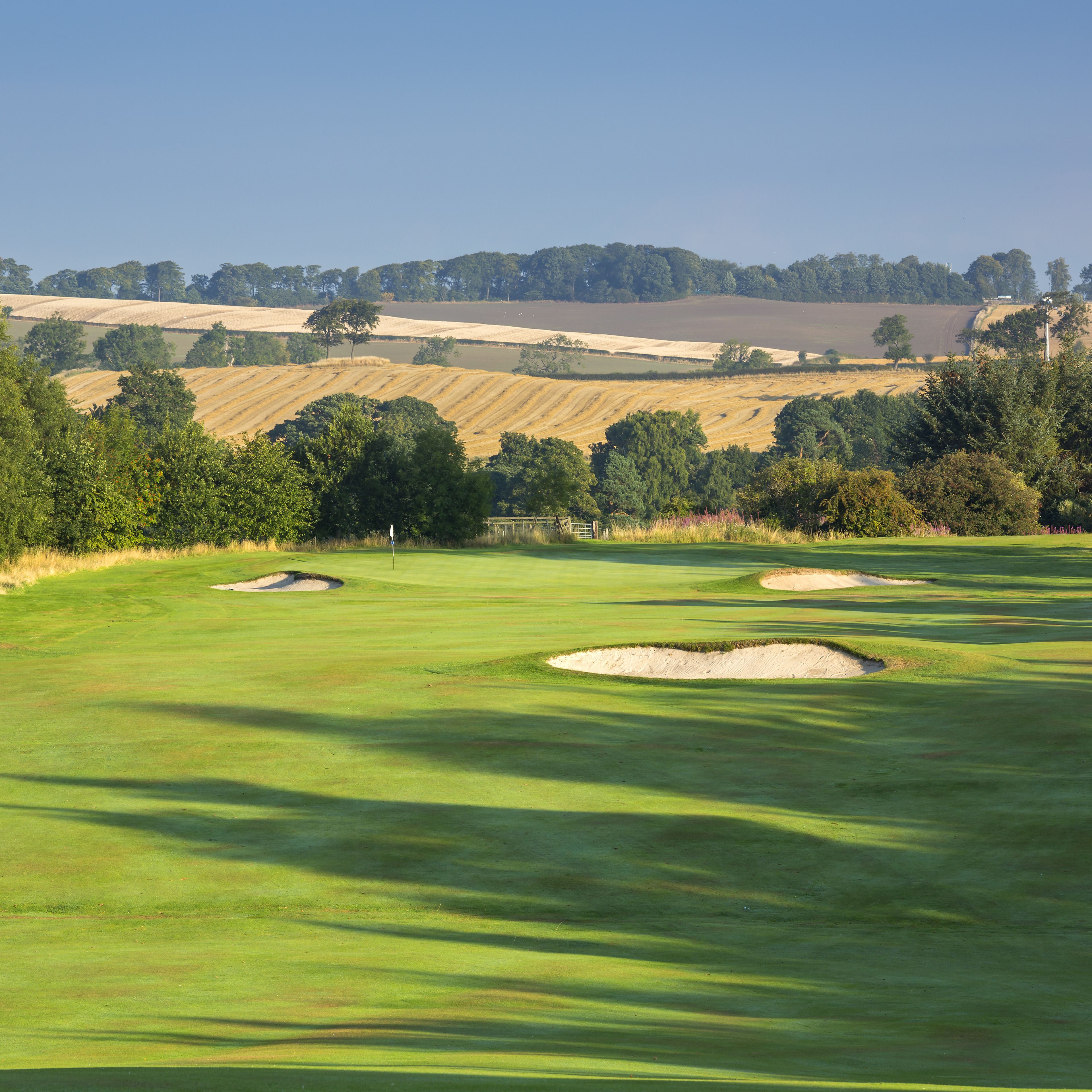 Een golfbaan met zandbunkers en een heldere lucht.