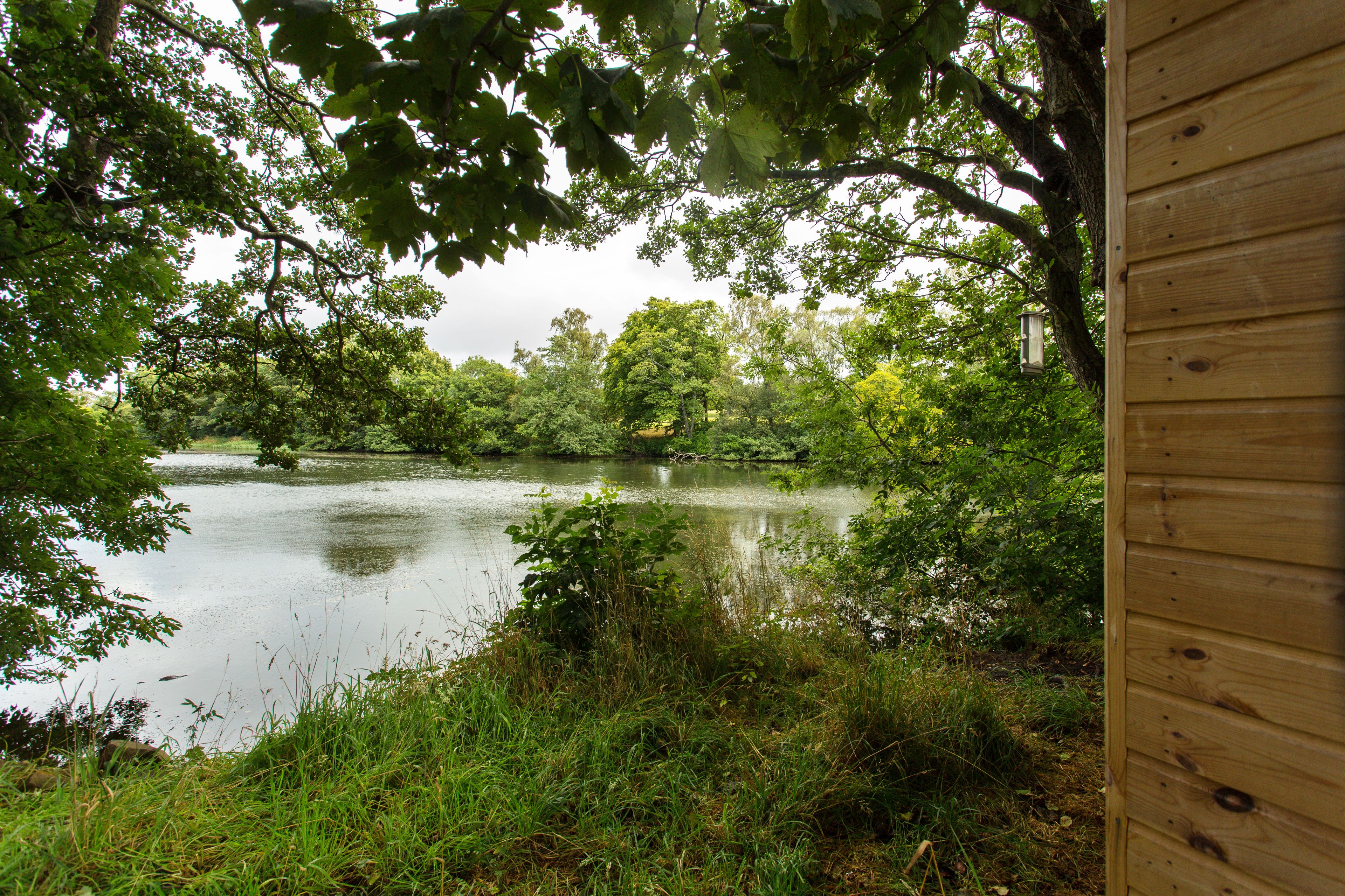 Blick auf einen Teich, umgeben von üppigem Grün und Bäumen, mit einer teilweise sichtbaren Holzkonstruktion auf der rechten Seite.