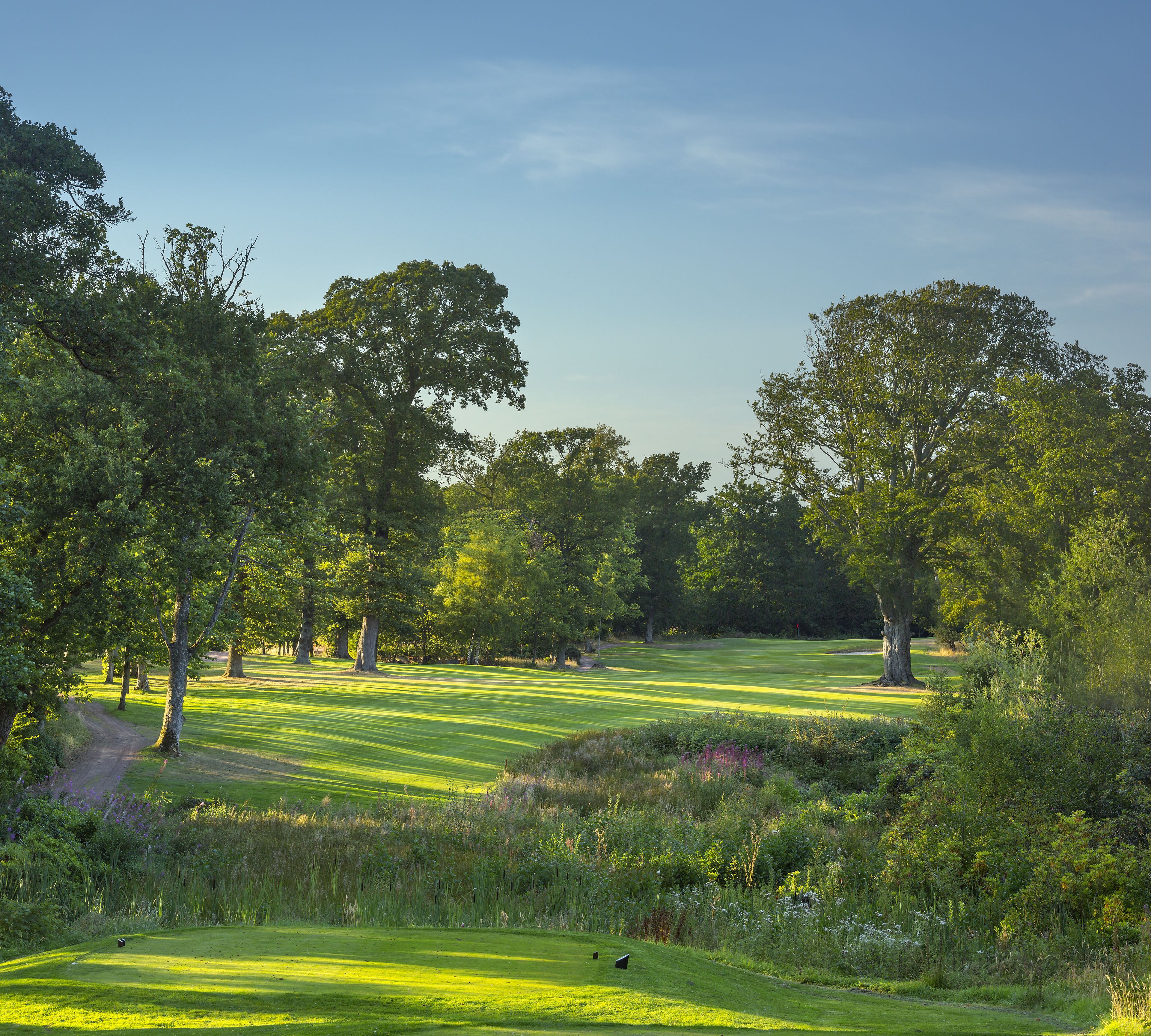 A golf course with a well-maintained fairway, surrounded by dense trees and lush greenery.
