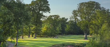 A golf course with a well-maintained fairway, surrounded by dense trees and lush greenery.