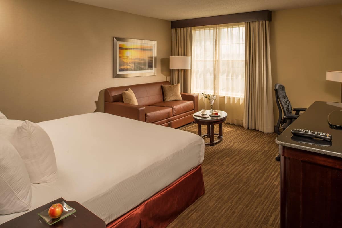 Room, 1 King Bed, Pool View | Down comforters, pillowtop beds, in-room safe, desk