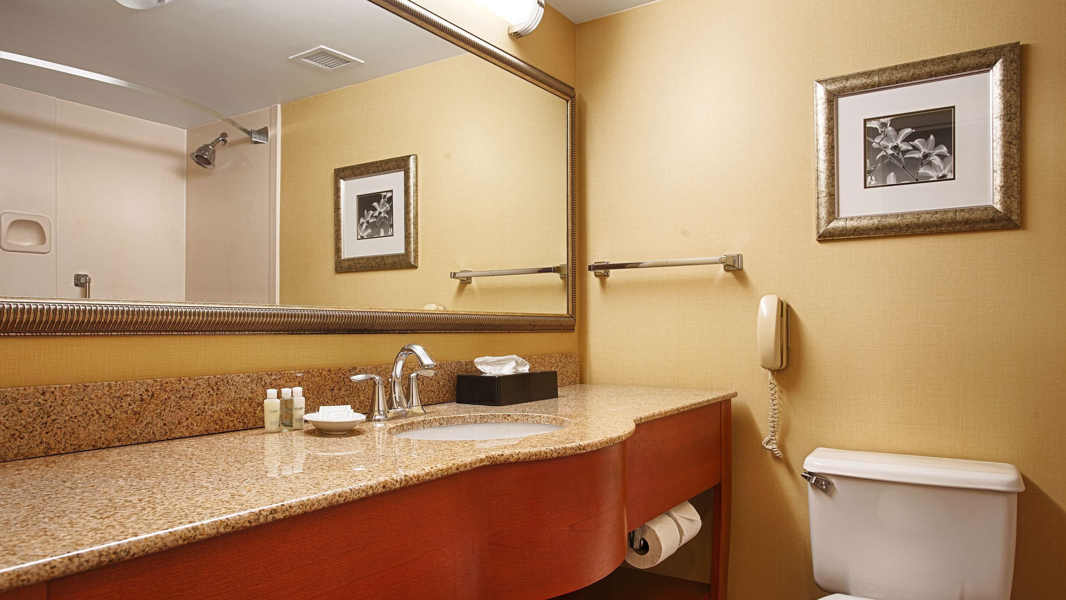 Un bagno con un lavabo in granito, un lavandino, uno specchio, un water e due quadri appesi al muro.