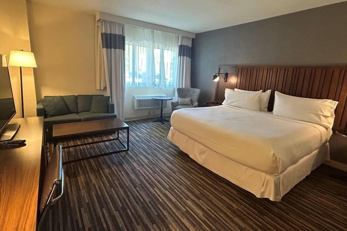 A hotel room with a bed, a sofa, a desk with a lamp, a chair, and a window with curtains.