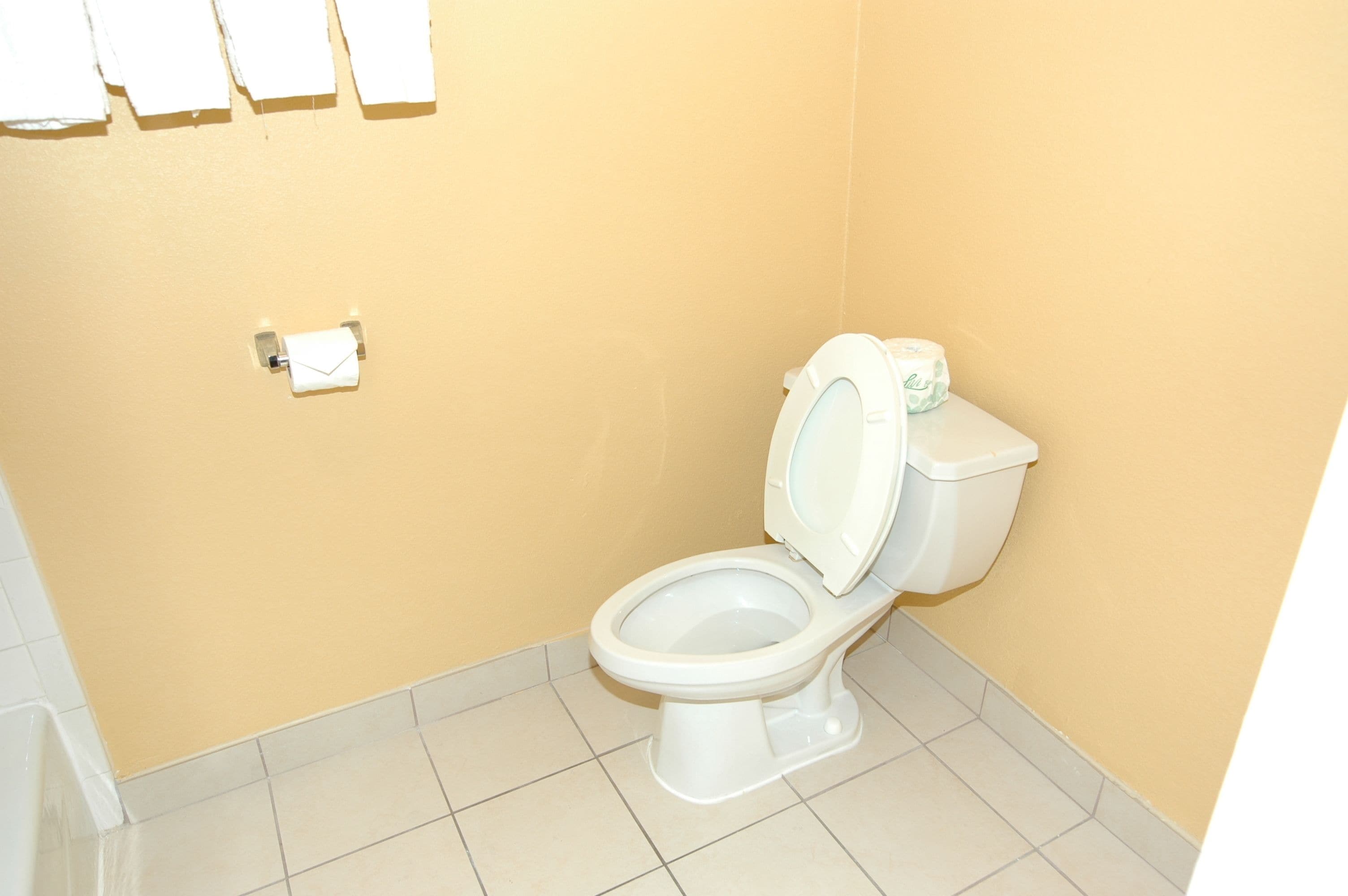 Un baño pequeño con un inodoro, un dispensador de papel higiénico y un perchero de toallas en la pared.
