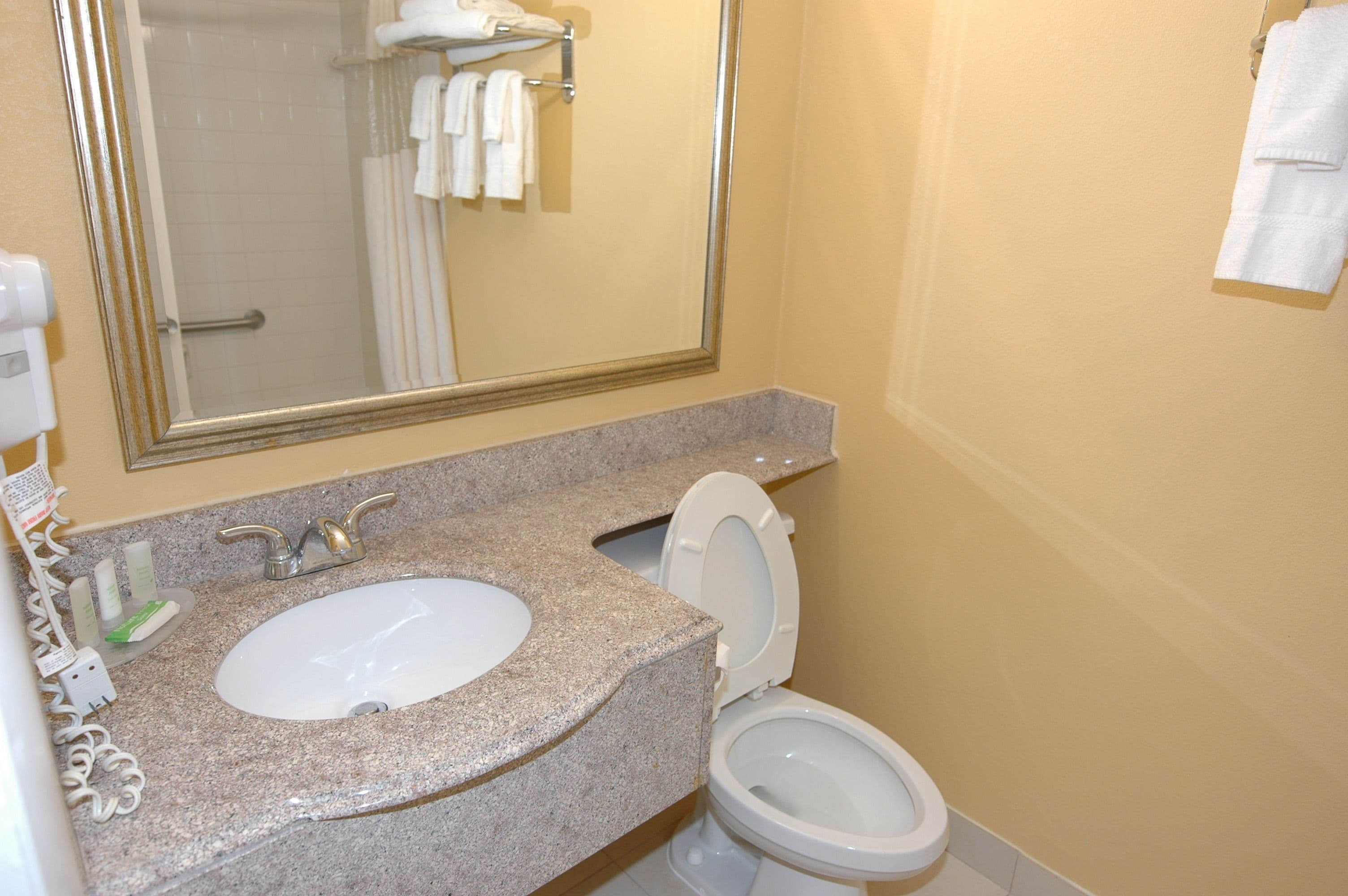 Foto - Ambassadors Inn & Suites