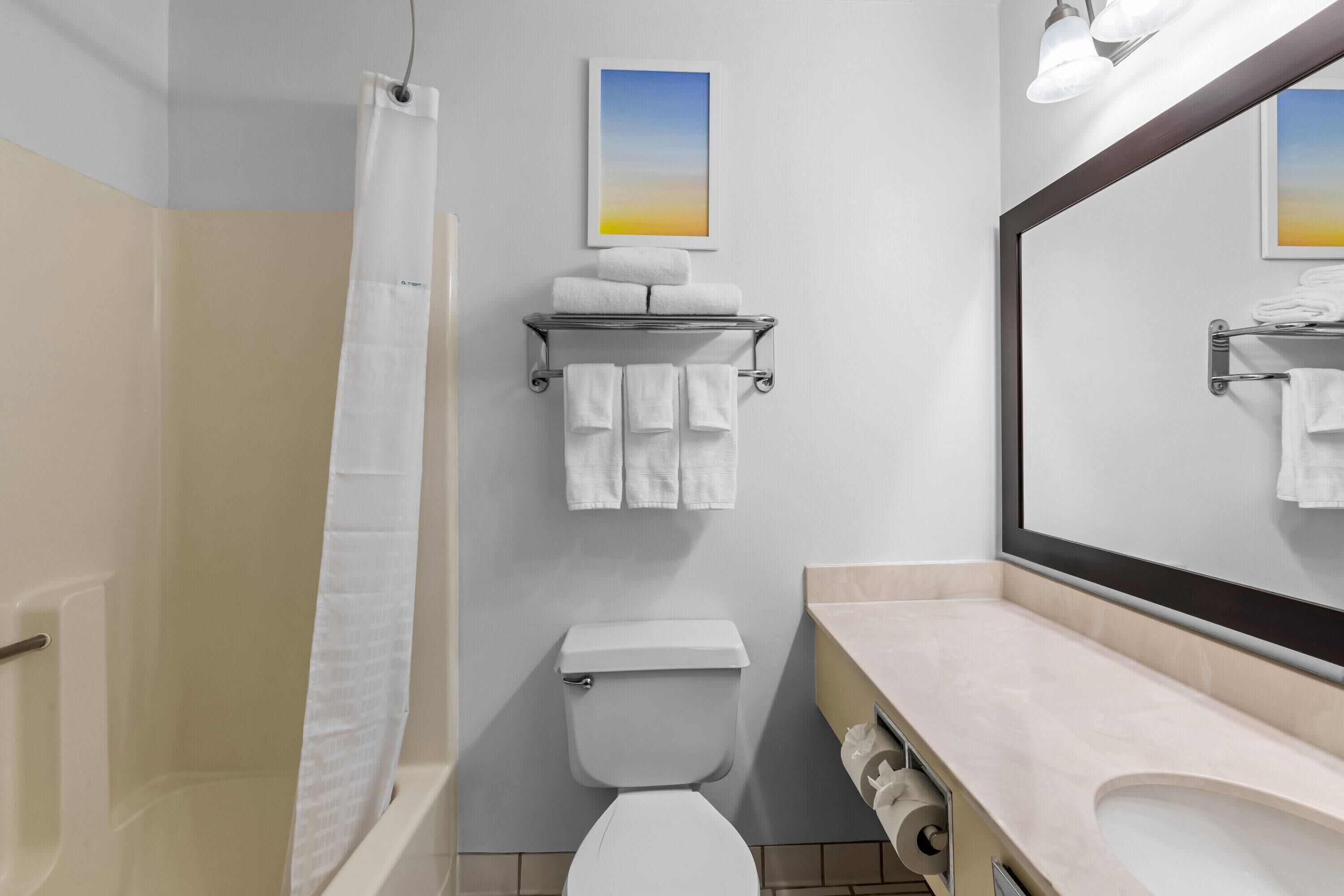 Baño con ducha, inodoro, lavabo y toallero.