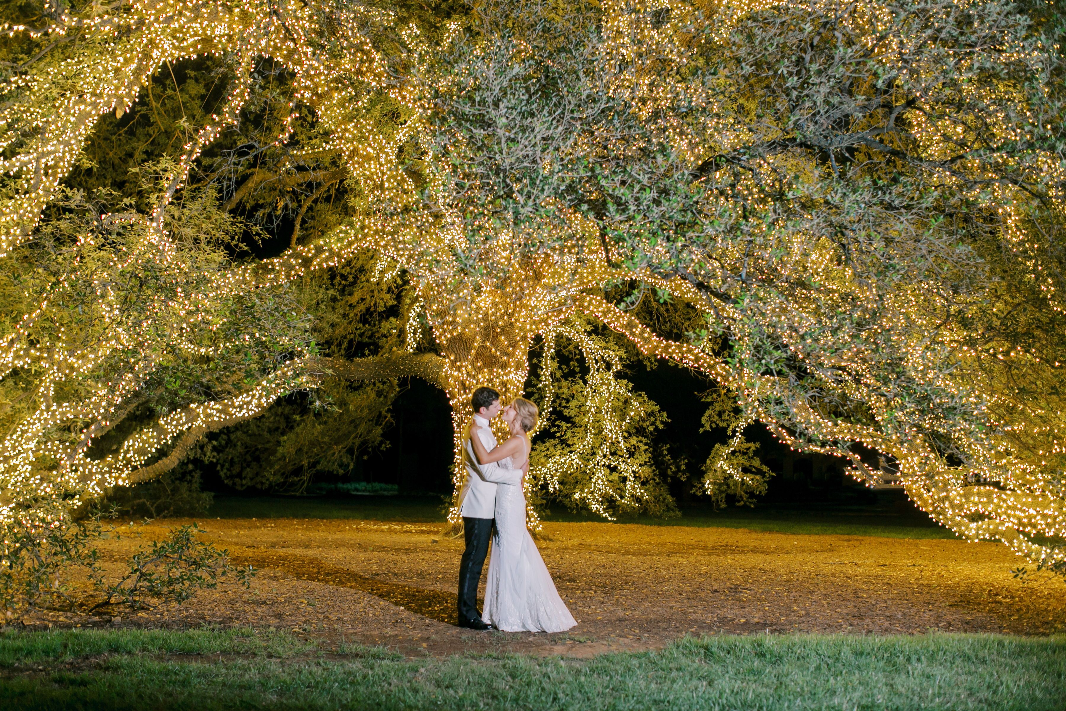 A couple embracing under a tree decorated with lights.