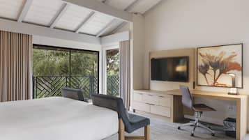 Executive Room | Terrace/patio