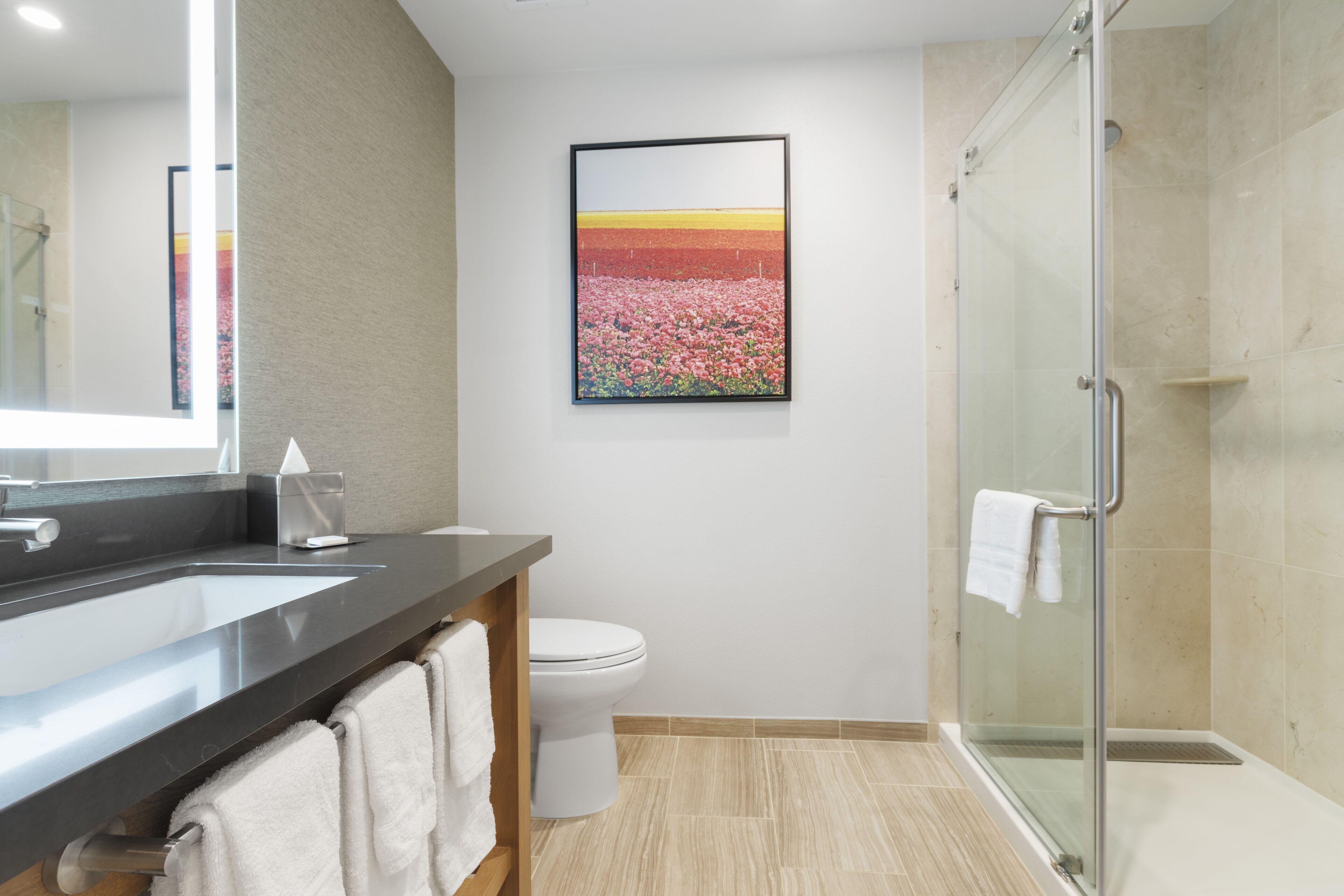 A modern bathroom with a glass shower, a white toilet, and a large mirror.
