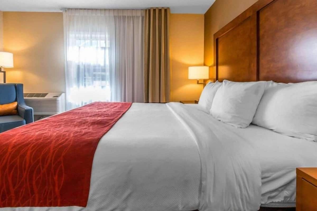 In-room safe, desk, iron/ironing board, free WiFi