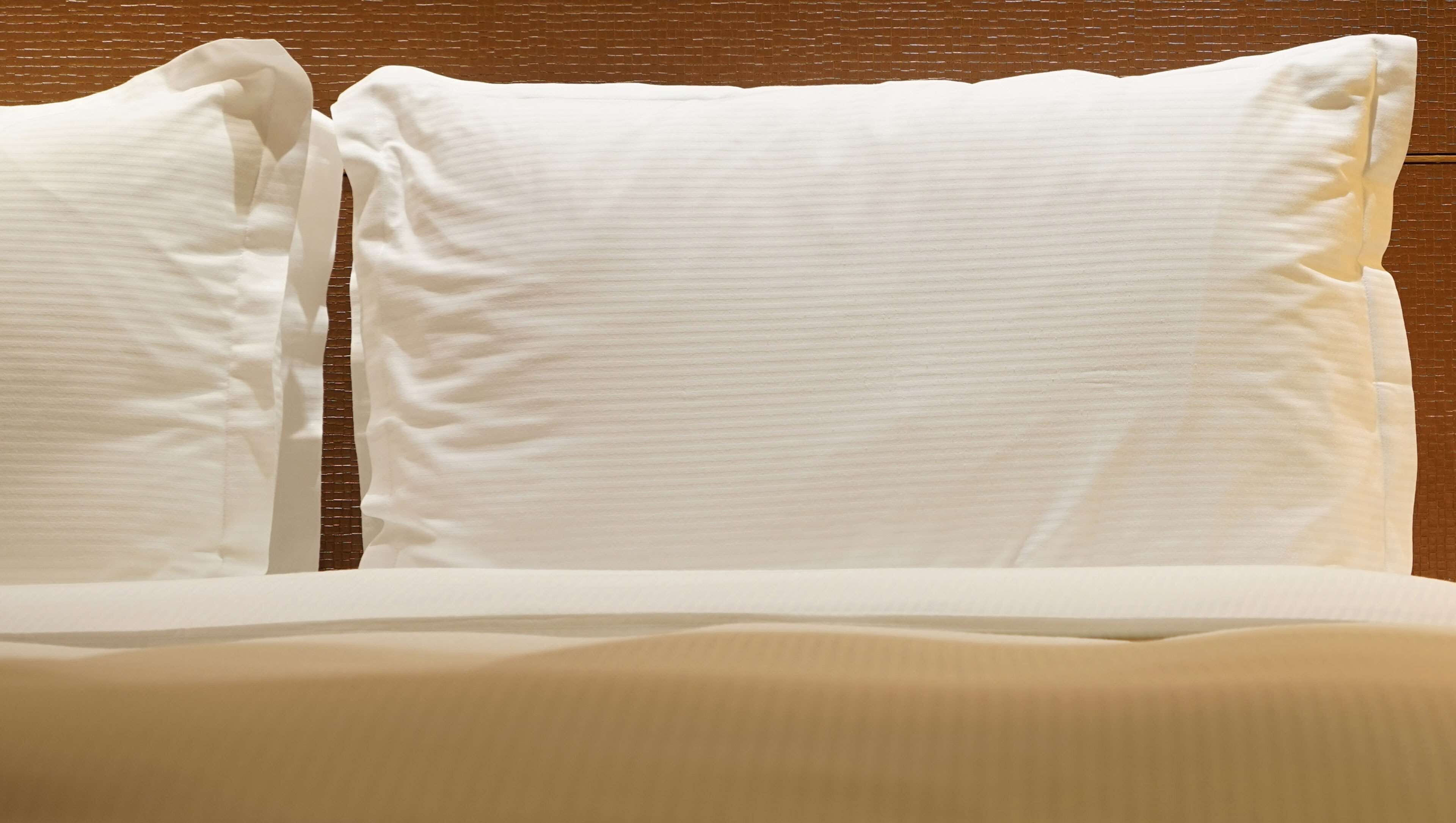 Photo - Magnuson Hotel Bradenton