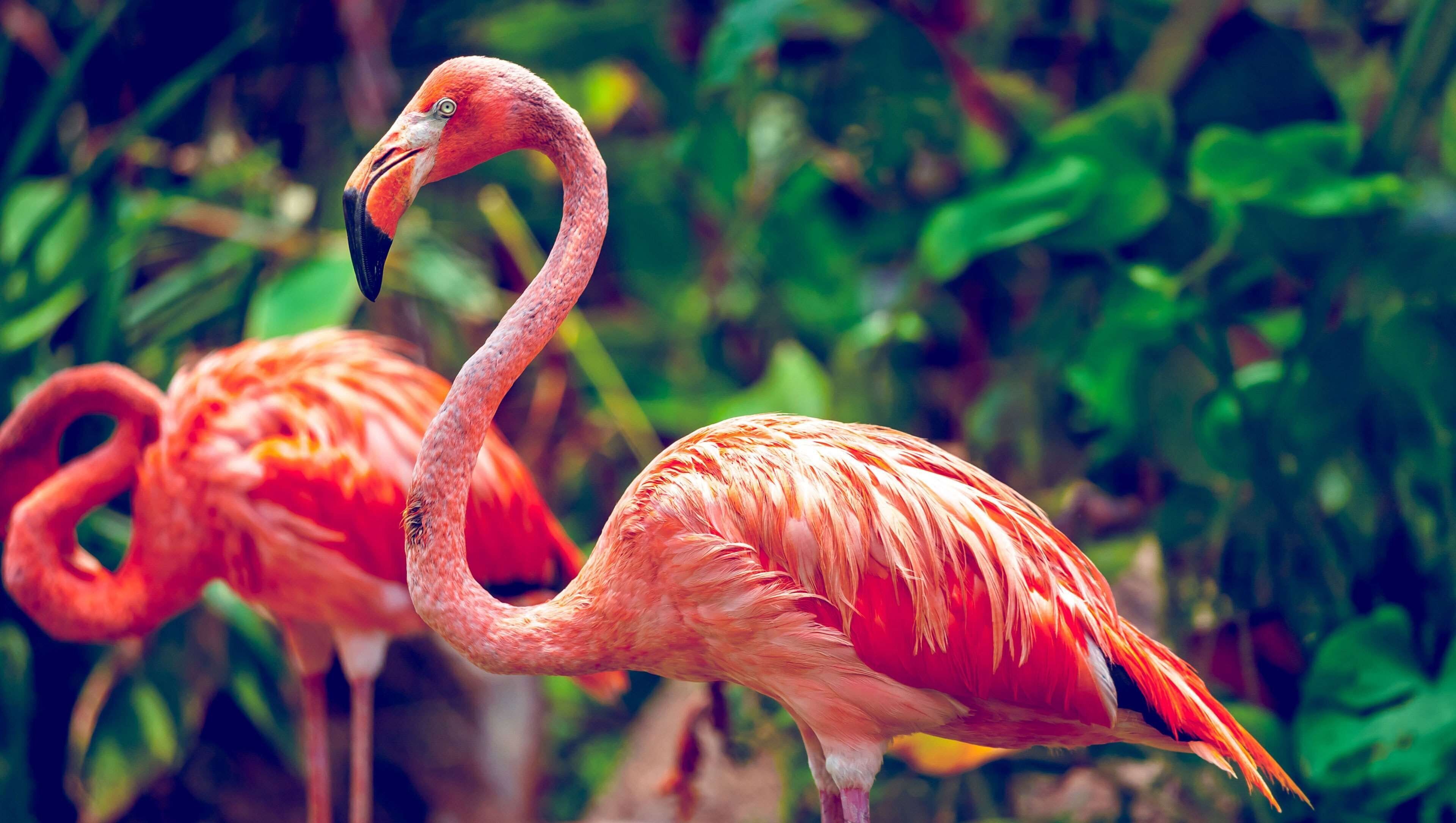 Photo - Magnuson Hotel Bradenton