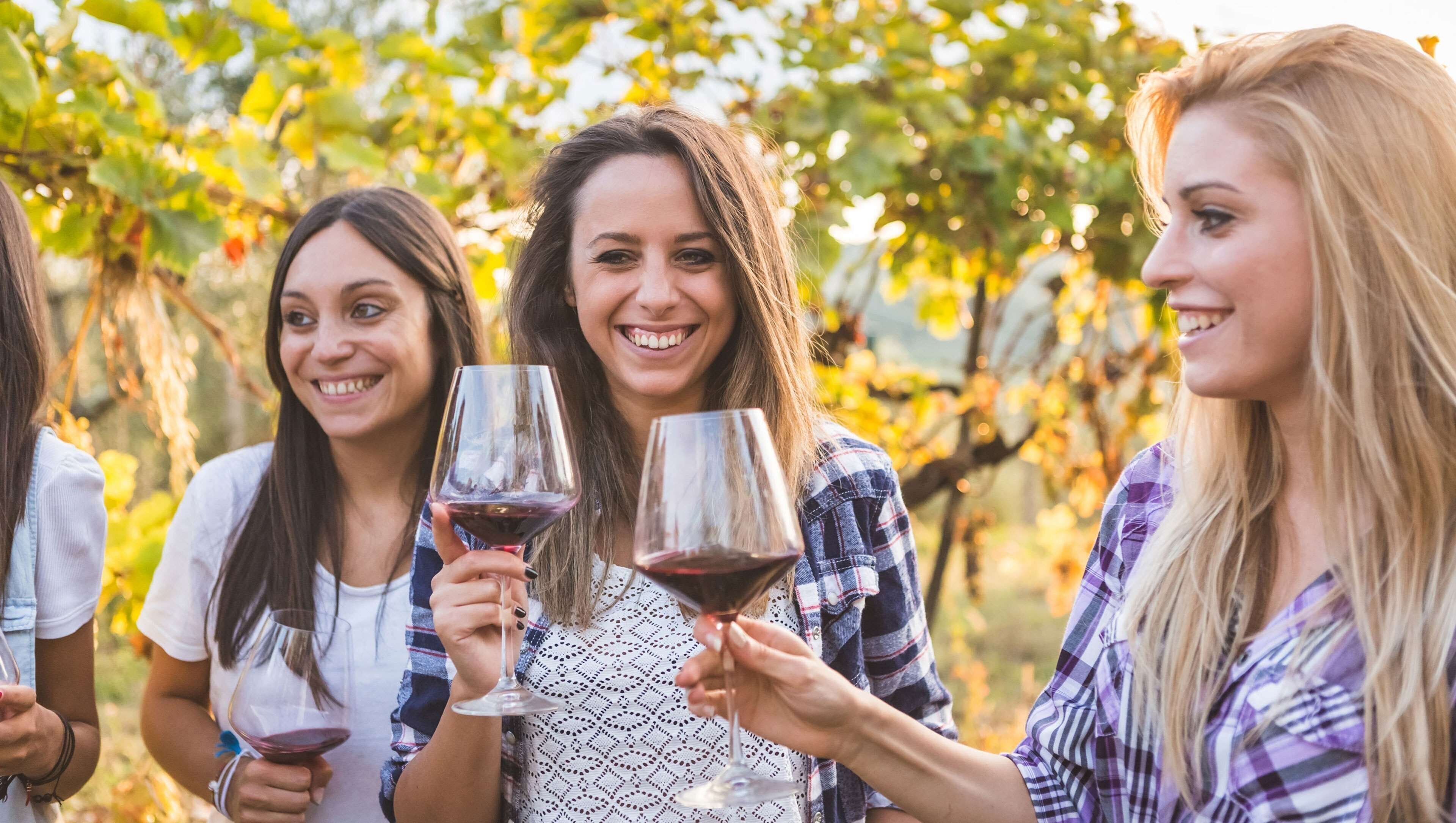 A group of people holding wine glasses in an outdoor setting with trees in the background.