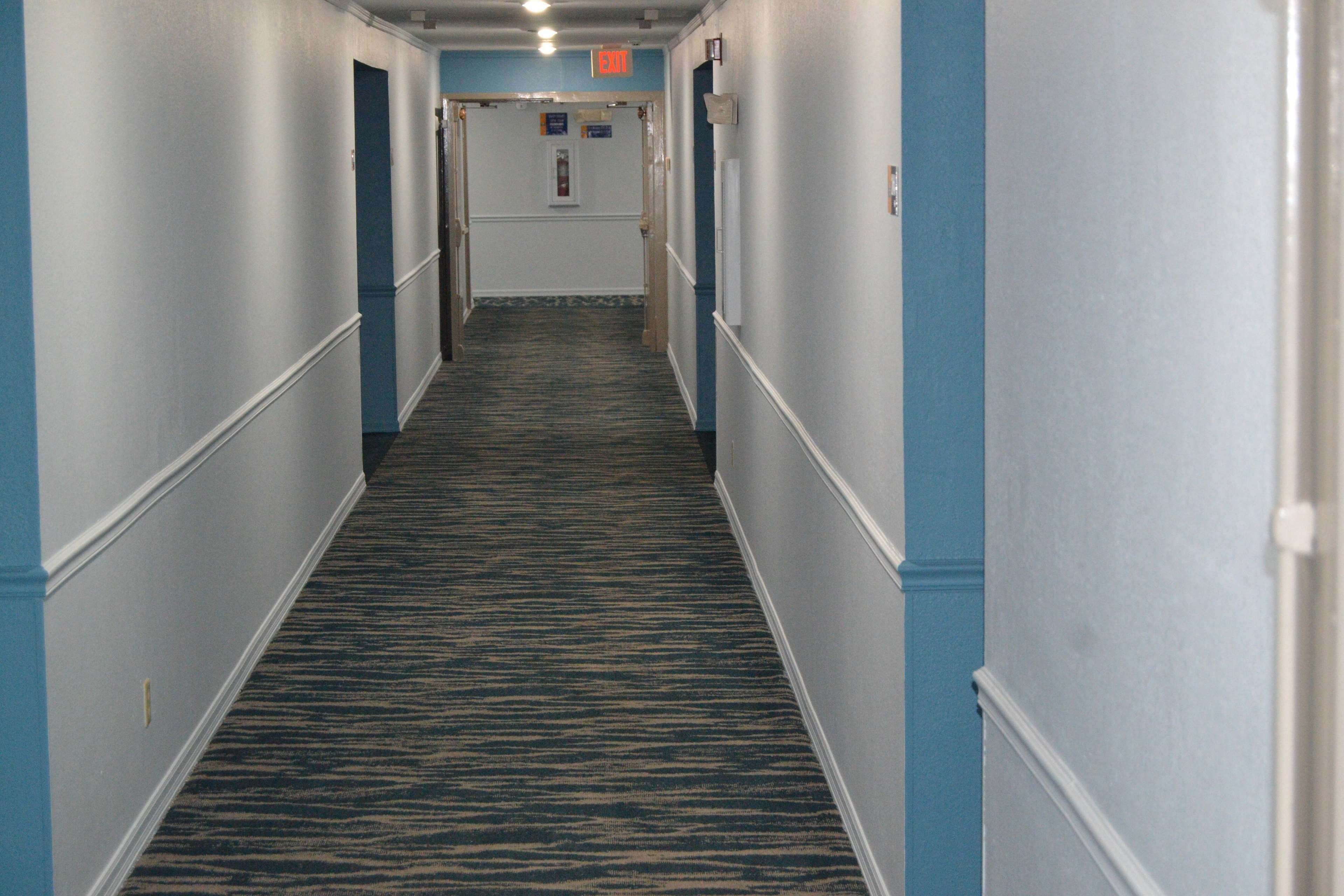 Un couloir avec un tapis à motifs, des murs bleus et des portes donnant sur différentes pièces.