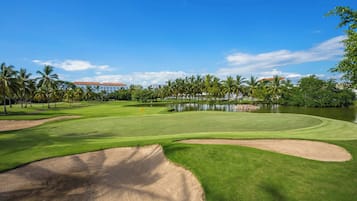 Servicio de la propiedad