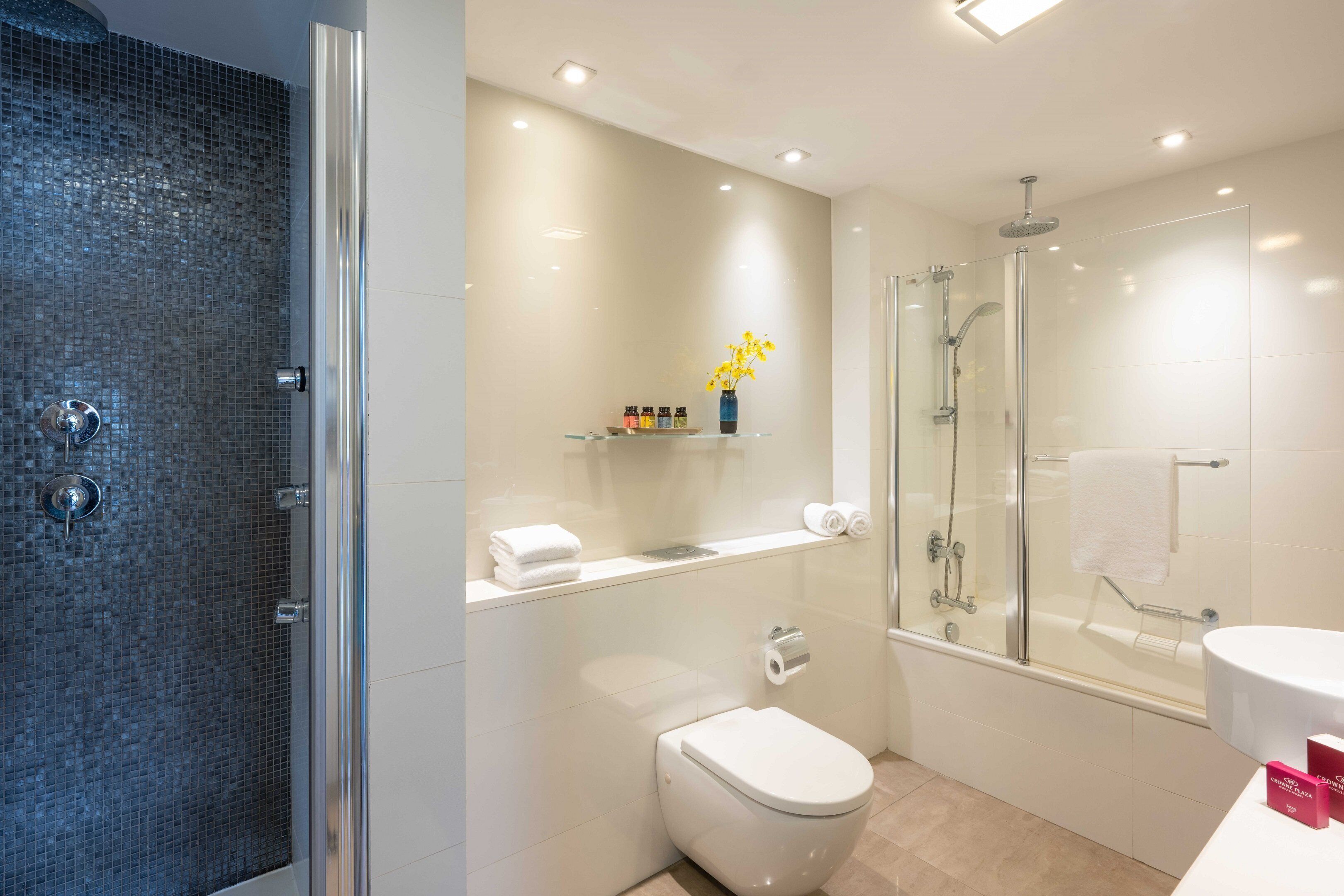 A modern bathroom with a glass shower enclosure, a toilet, and a sink.