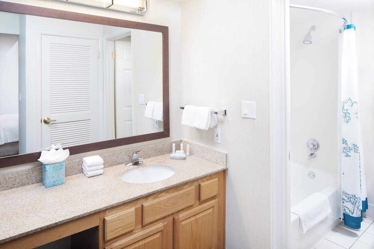 シャワー付き浴槽、バスアメニティ (無料)、ヘアドライヤー、タオル