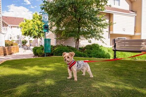 Property amenity