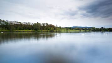 A calm river with swans, surrounded by trees and a cloudy sky.