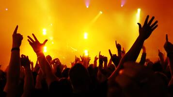 A crowd of people at a concert with raised hands, illuminated by stage lights.