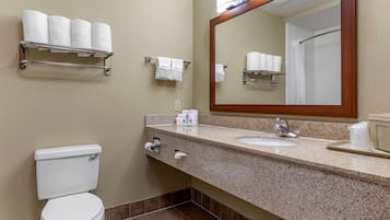 Combined shower/bathtub, free toiletries, hair dryer, towels