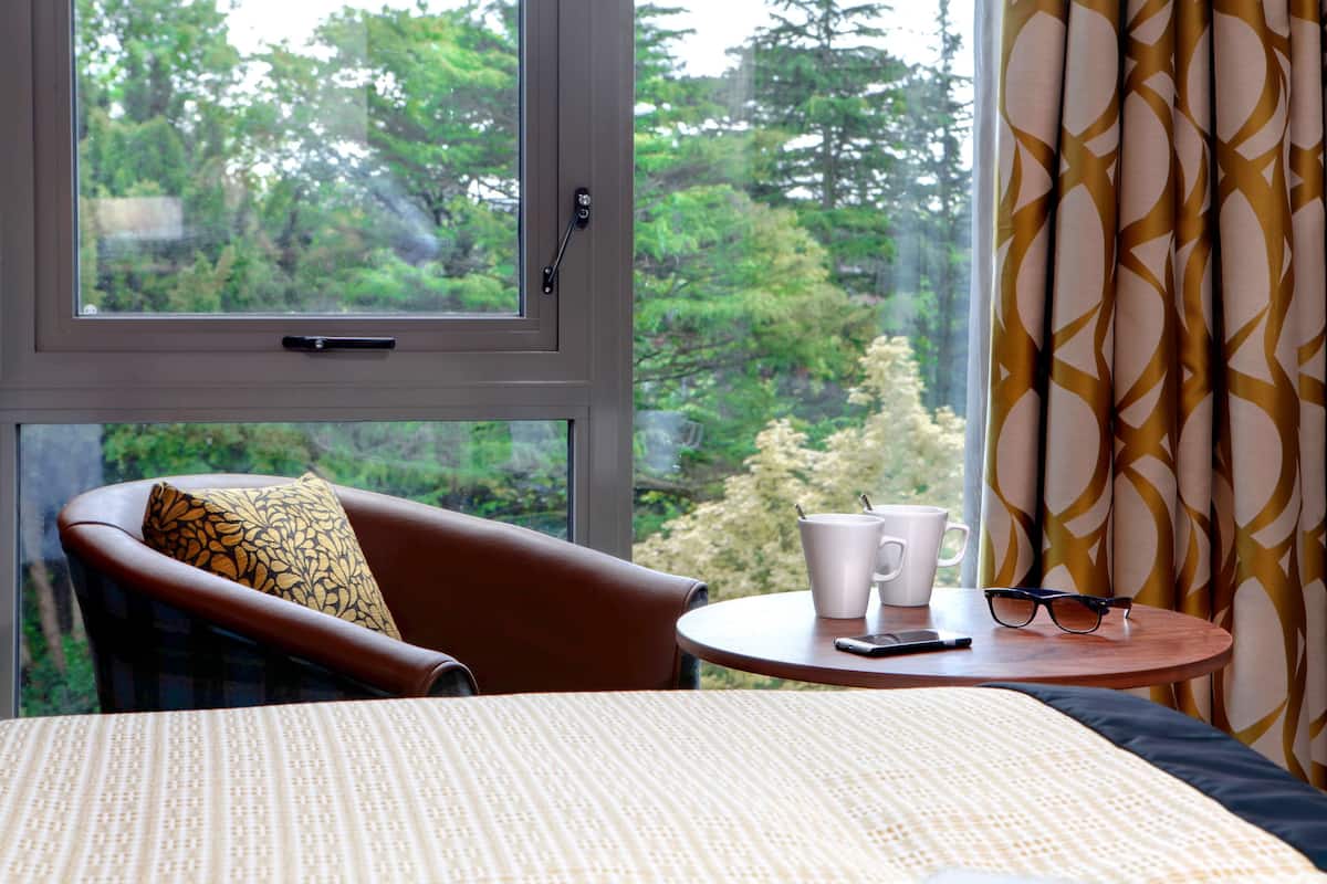 executive room, 1 double bed, non smoking | room amenity