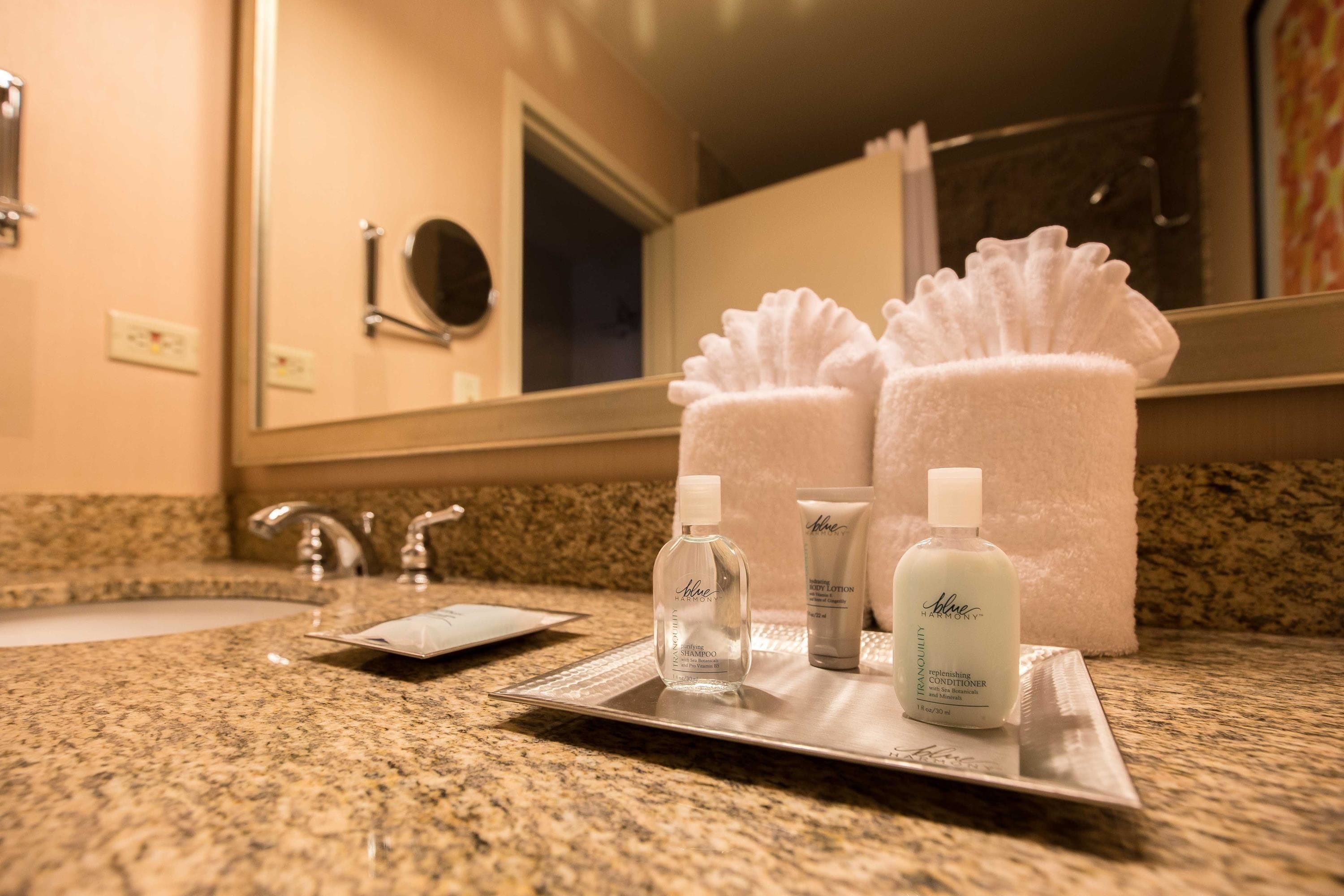 combined shower/bathtub, free toiletries, hair dryer, towels