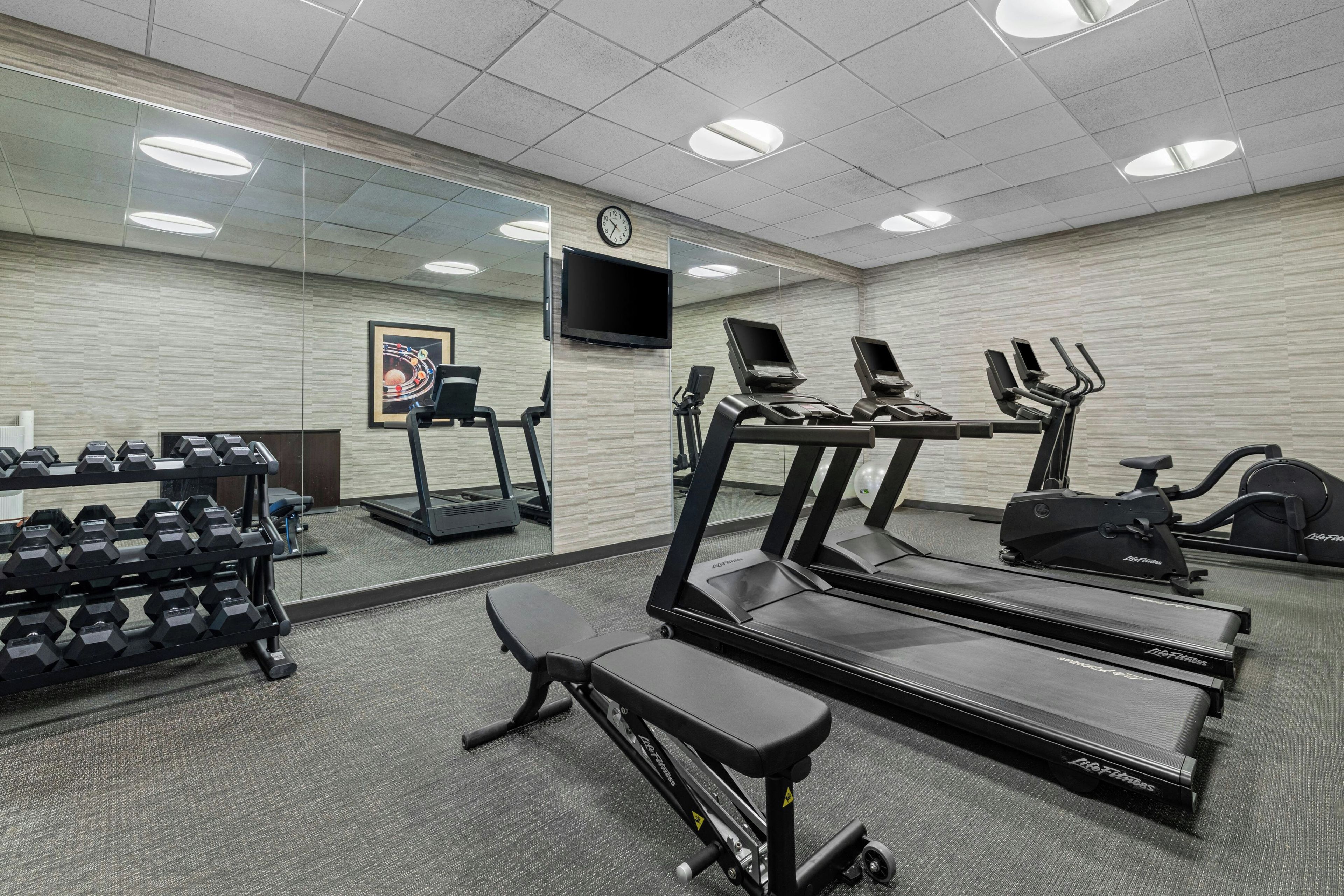 A gym with treadmills, dumbbells, and exercise equipment.