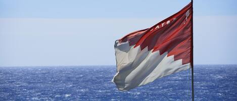 A flag waving against a clear sky.