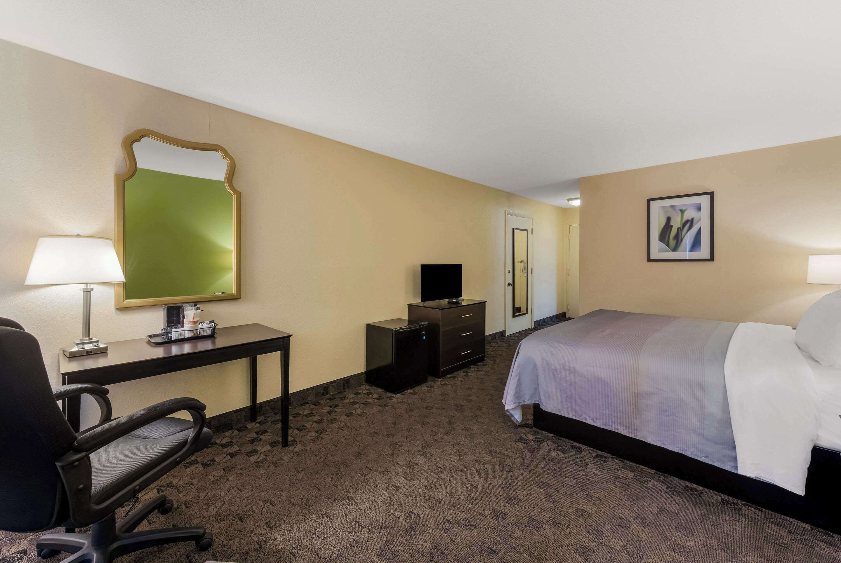 A hotel room with a bed, desk, chair, television, dresser, and a mirror.