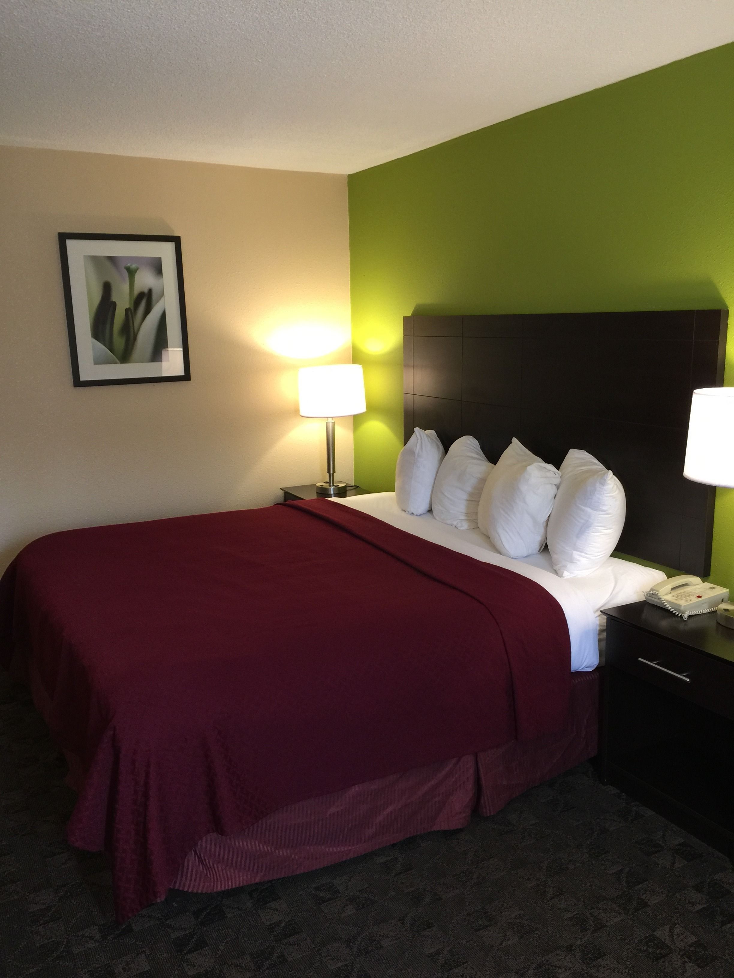 A hotel room with a bed, a nightstand, a lamp, a framed picture, and a telephone.