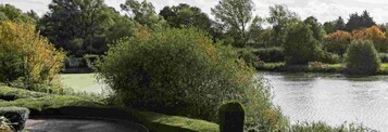 Un jardín tranquilo con un estanque, rodeado de abundante vegetación y árboles.