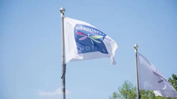 Una bandera con el logotipo de Dragonfly Hotels, que presenta una estilizada libélula y el nombre del hotel.