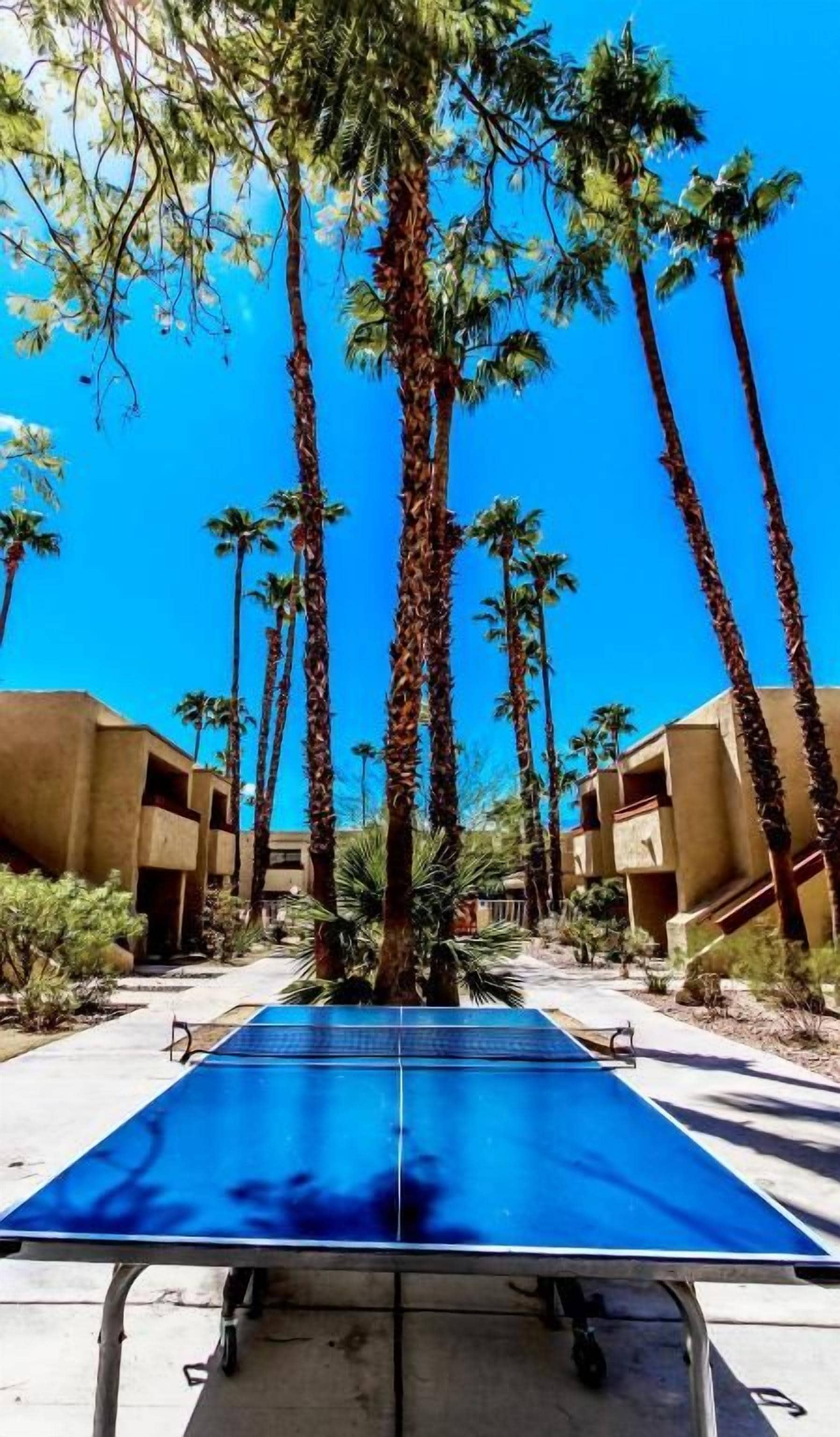 A ping pong table in an outdoor area with tall palm trees and a building in the background.