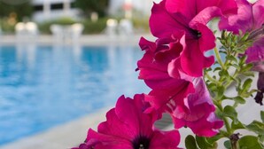 A hotel with a pool and a building in the background. - Hotel Muscat Holiday (Muscat)