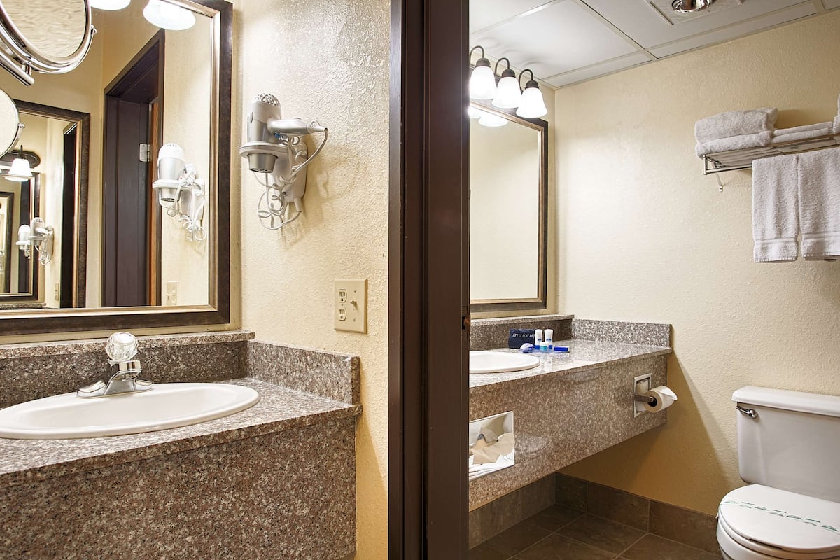 combined shower/bathtub, free toiletries, hair dryer, towels